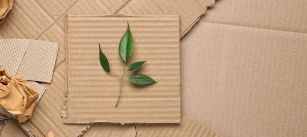 Green leaves and crumpled paper on carton, top view with space for text